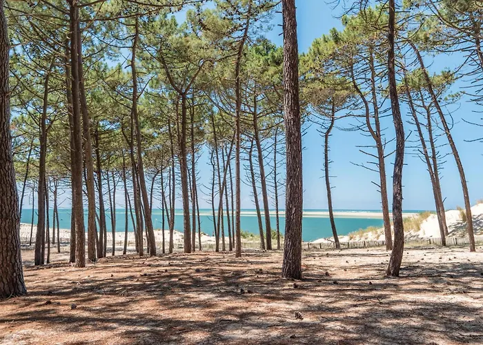 Belle Maison Landaise Tatil Evi *